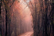 雷火电竞APP-当红蓝血脉喷张，中超赛场迎来世纪之战！巴萨利物浦天河对决全记录