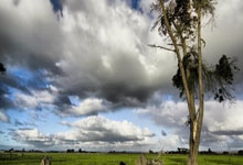 雷火电竞-当德甲霸主遇上紫金王朝：曼城“登顶湖人”背后的体育资本迷局