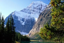 雷火电竞登录-金色眼泪沸腾时：当勇士梦断奥运，球迷的呐喊震碎星空