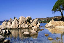 雷火电竞登录-蓝白风暴席卷绿茵：当世界杯王者碾压俱乐部王朝