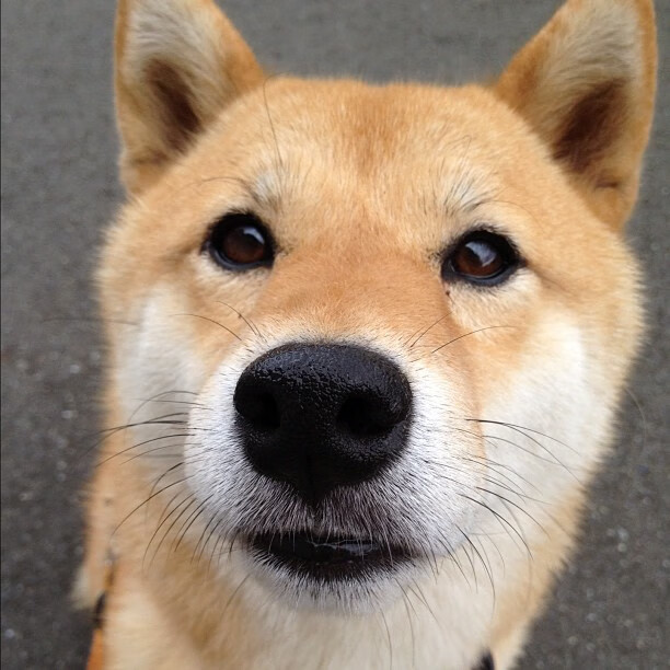 雷火电竞官网-魔王代码，在抢七之夜编写胜负的欧文