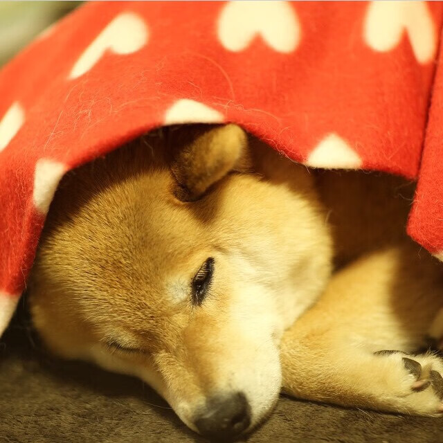 奇迹再现，从巴拉圭爆冷希腊到NBA总决赛的悬念之战