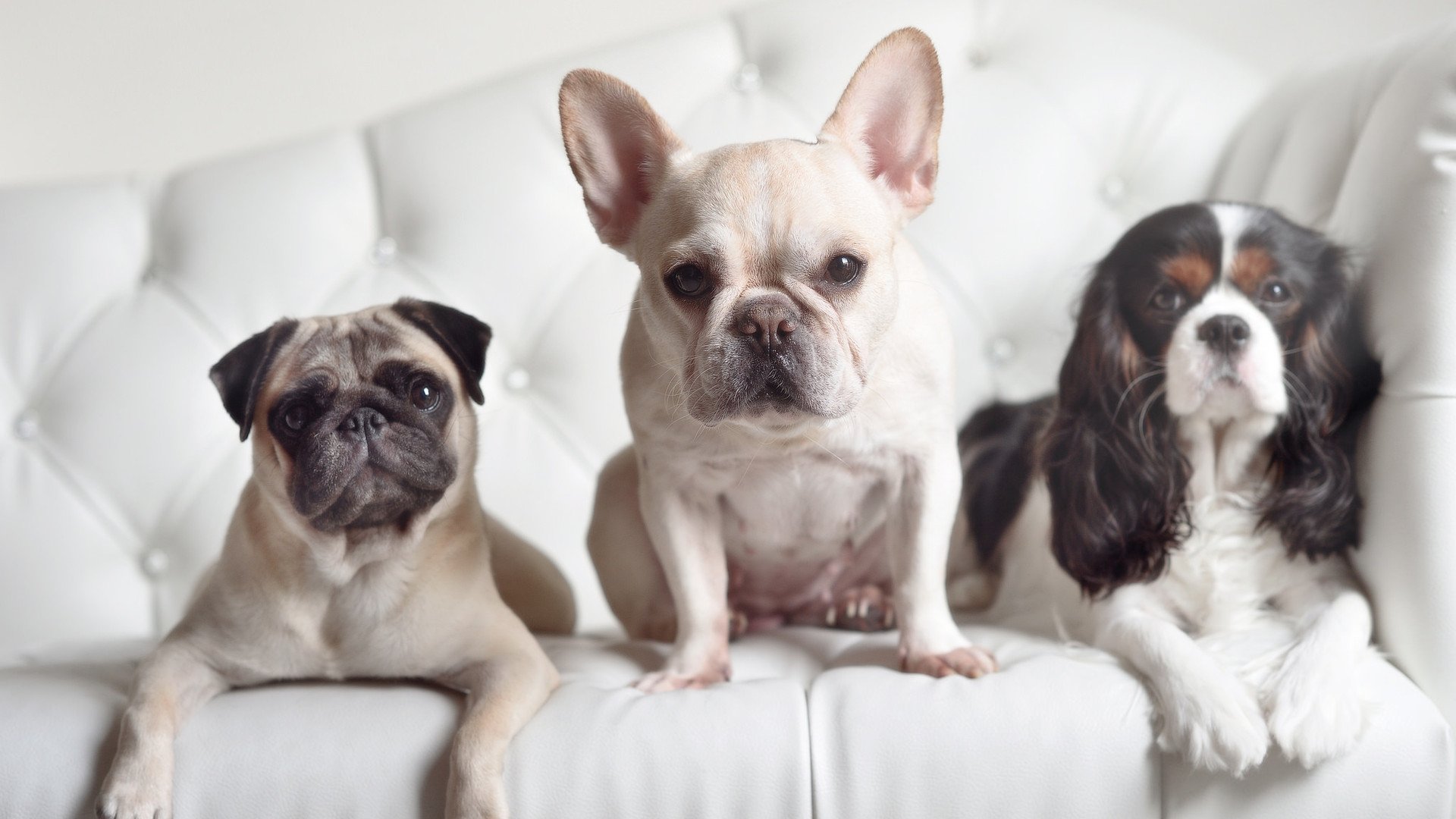 雷火电竞-以最决绝的逆境，焊死他的王座