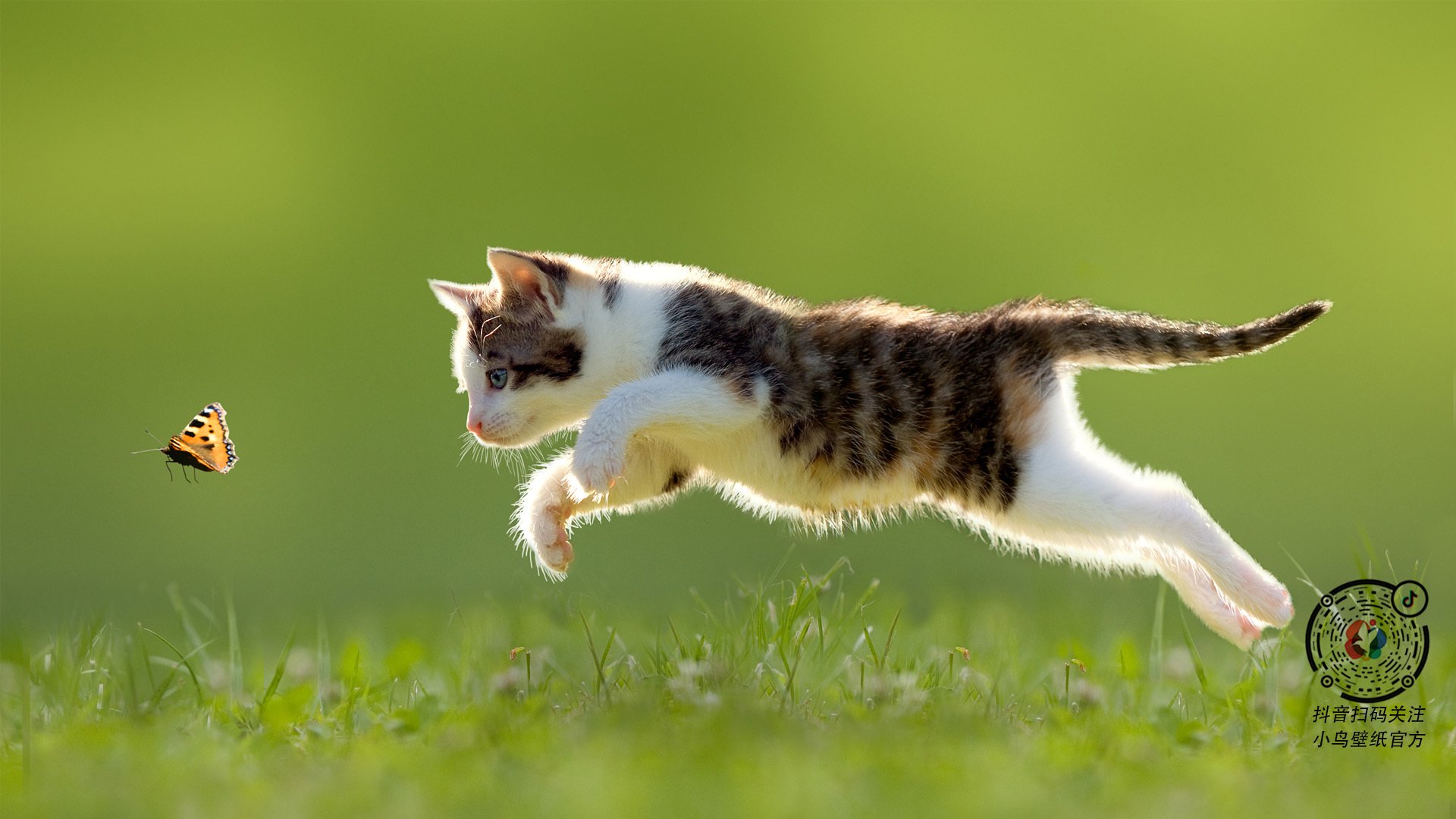 雷火电竞充值-冰与火之歌，加拿大风暴全面压制贝蒂斯，加克波化身命运执剑人