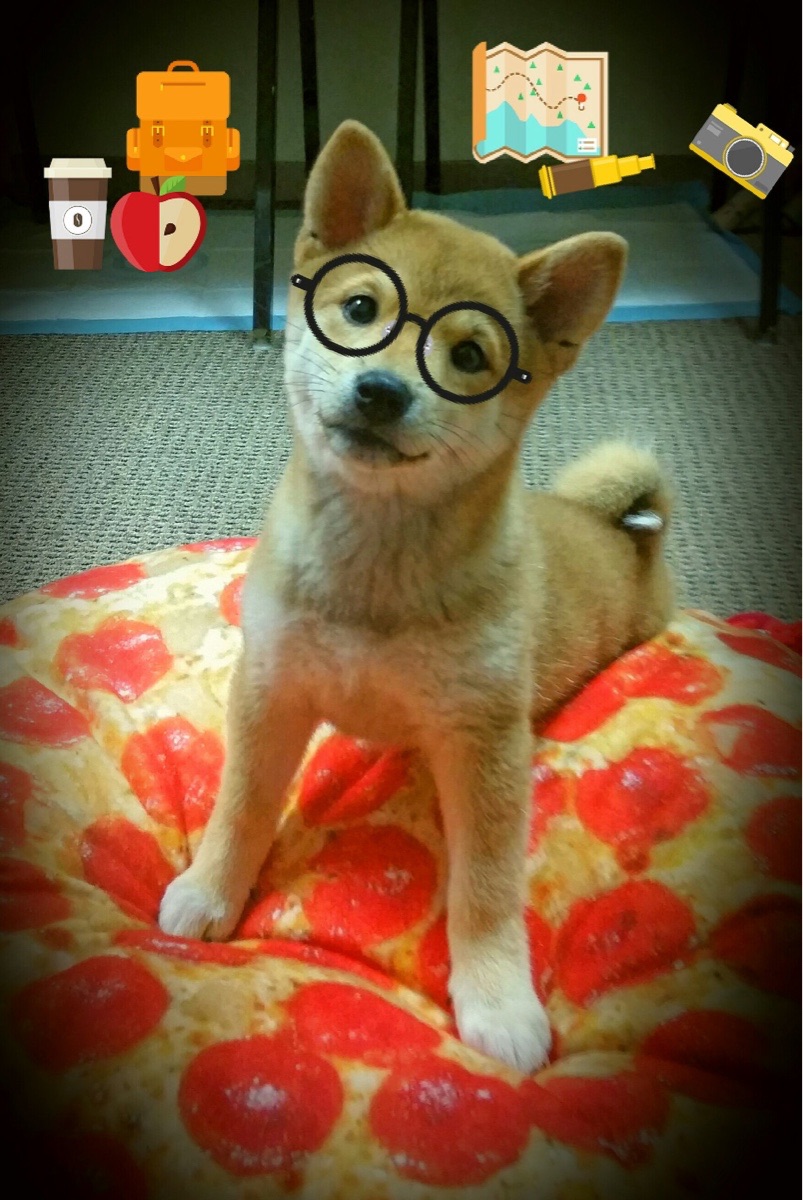 雷火电竞合作-数据之夜的双重奏，佩德里跨联赛纪录与意甲争冠风云