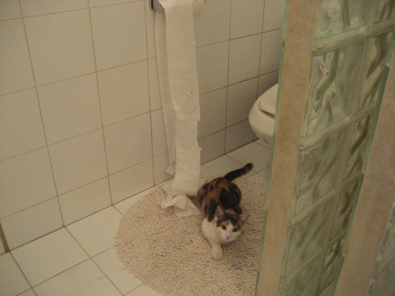 雷火电竞app-绿茵双重奏，哥斯达黎加绝境逢生与哈弗茨的自我正名