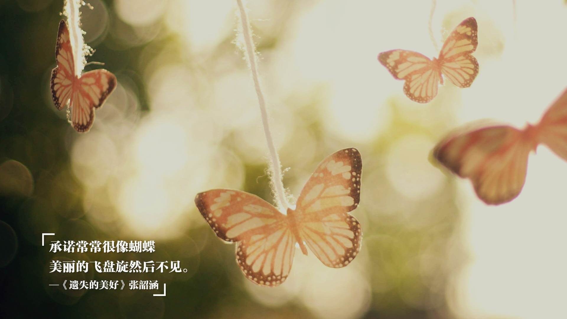 雷火电竞-决胜局的硝烟，帕尔默的爆发与法国队带走秘鲁