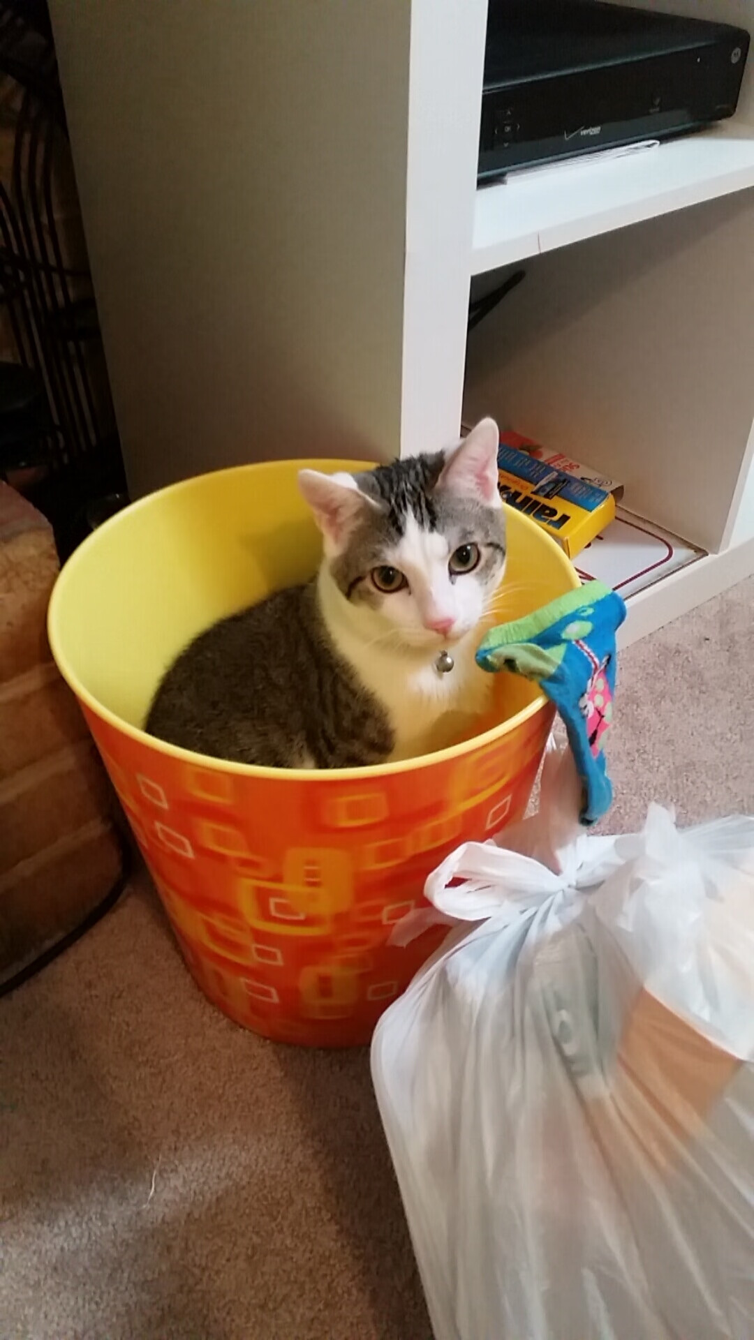 五小时鏖战，热火血拼步行者背后的三方博弈