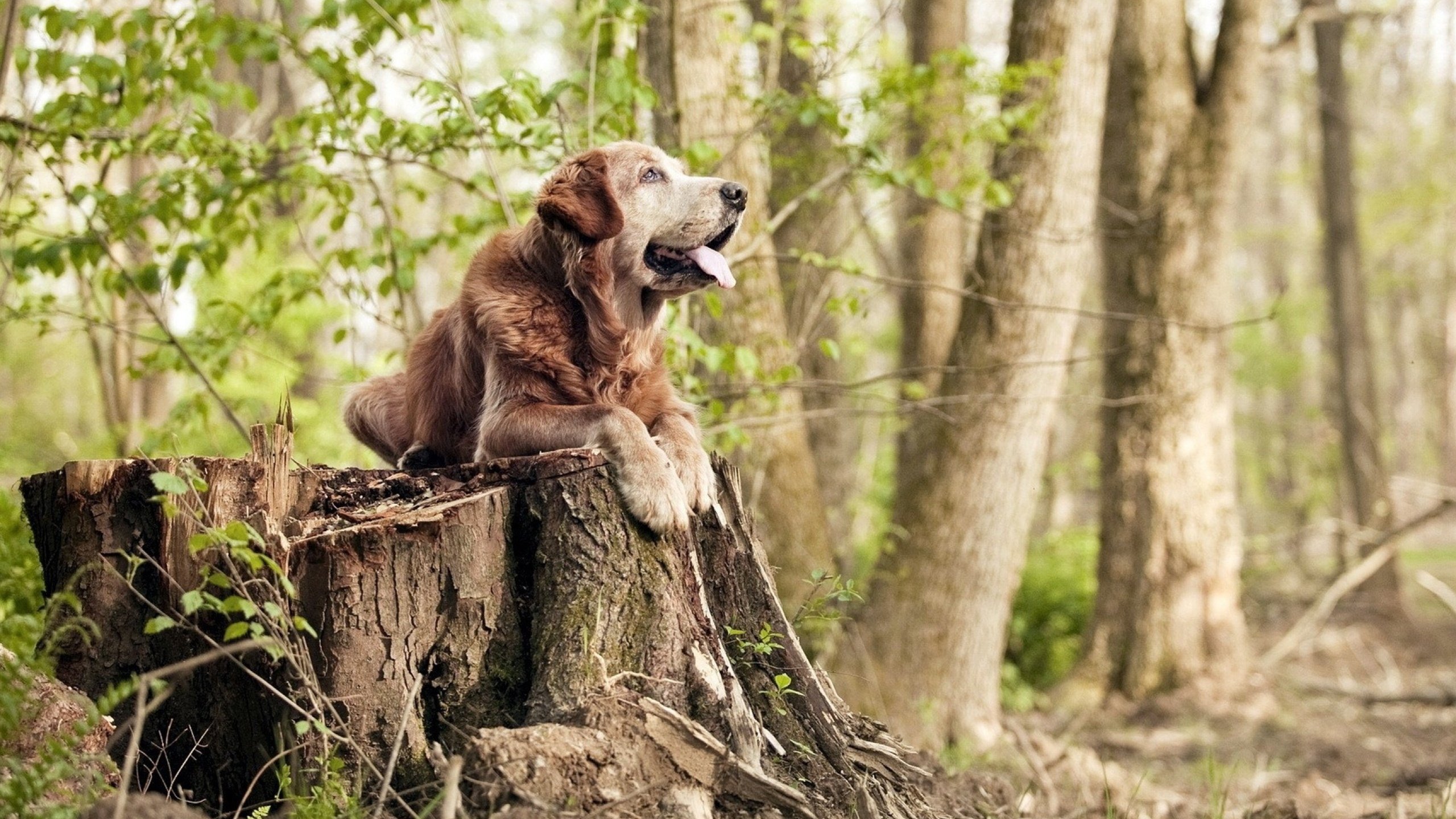 终场哨响前的利刃，巴尔韦德一击刺穿克罗地亚钢铁防线