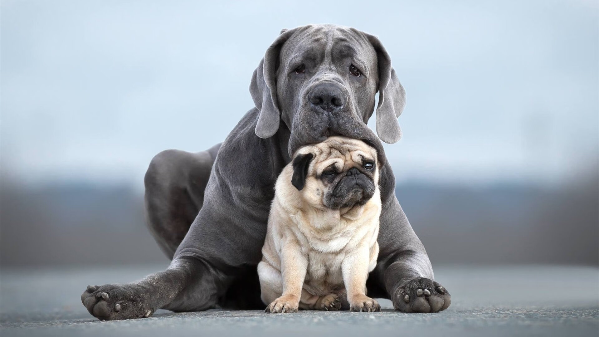 跨界启示，当哥斯达黎加横扫国际米兰的战术照亮NBA总决赛的舞台