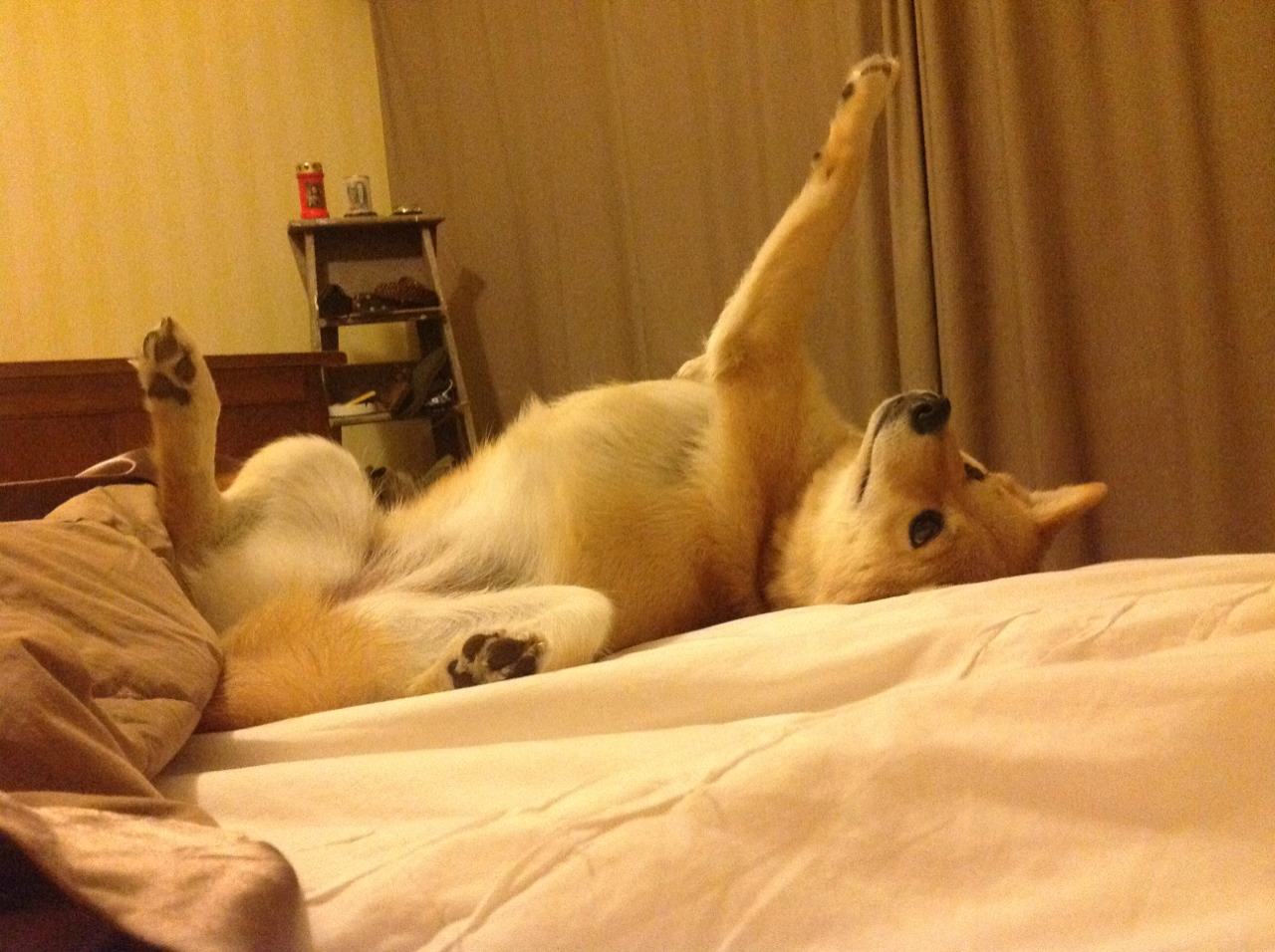 雷火电竞简介-足球的两种语法，巴尔韦德爆发的彗星，与拜仁在苏格兰的精密手术