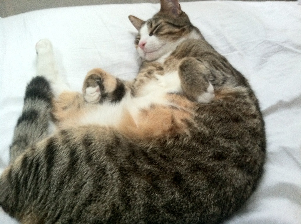 这里有一个扩展思维的标题创意