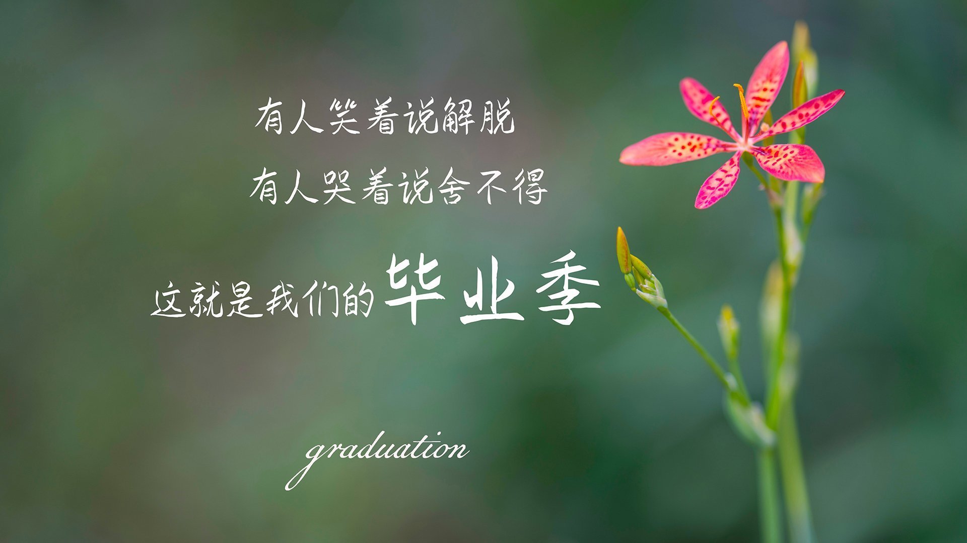 以下是为您创作的文章