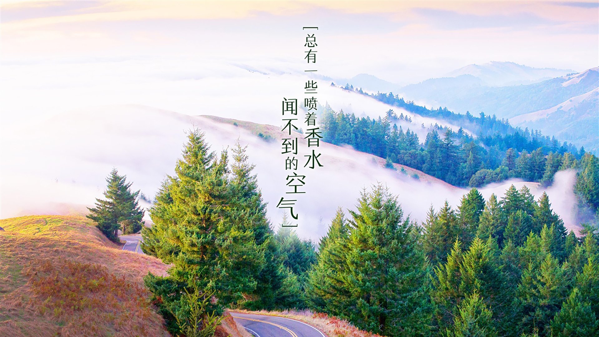 血染的C组，2026世界杯，托纳利在节奏风暴中定义唯一