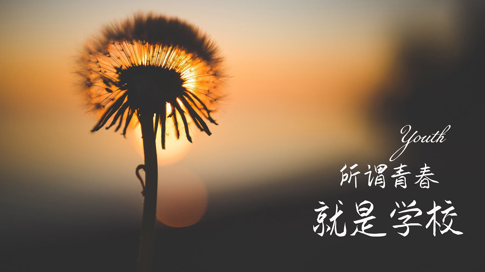 孤峰独峙，2026世界杯A组关键战，澳大利亚碾压智利，卢卡库领衔演绎防守艺术