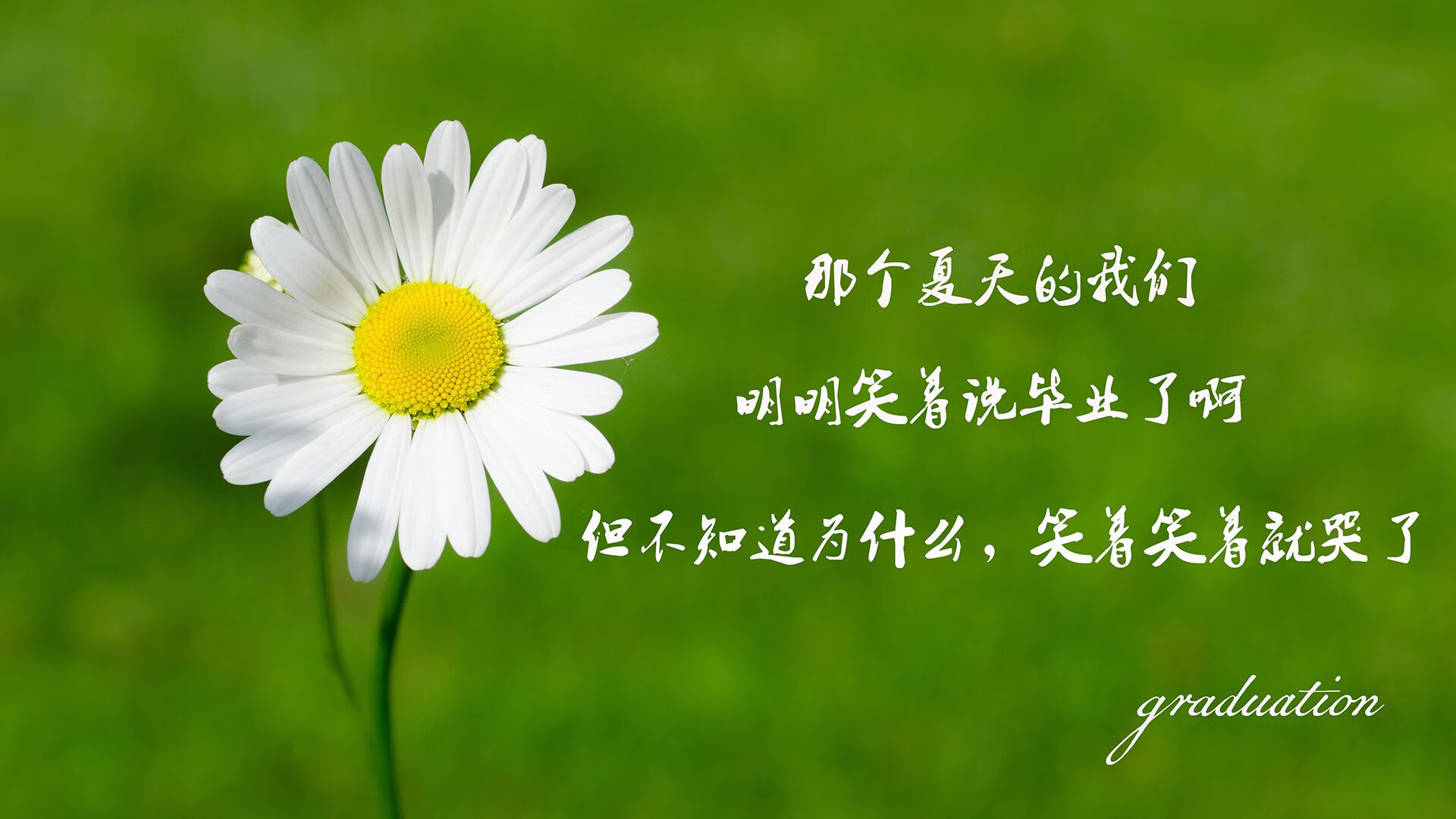 这是一篇为你定制的深度专栏文章，结合了唯一性、竞技戏剧和未来叙事的元素
